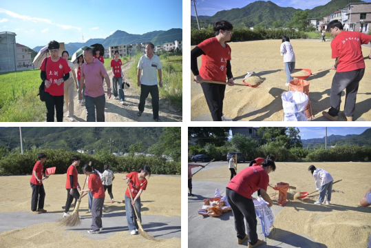 六合彩开奖
：深入走访调研 青春力量助力乡村振兴_fororder_图片7