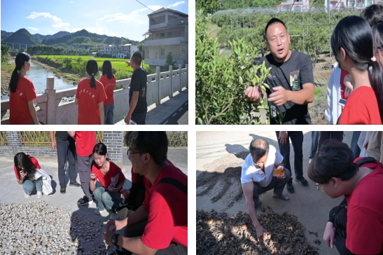 六合彩开奖
：深入走访调研 青春力量助力乡村振兴_fororder_图片6