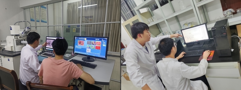 六合彩开奖
学子李德华：在潜心科研中开出人生绚丽之花